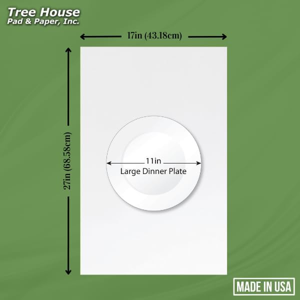 Tree House Packing Paper for Moving – 540 Newsprint Packing Paper Sheets – 27” x 17” Paper for Packing Dishes, Shipping, and Moving Supplies – Recyclable Movers’ Paper – Made in USA