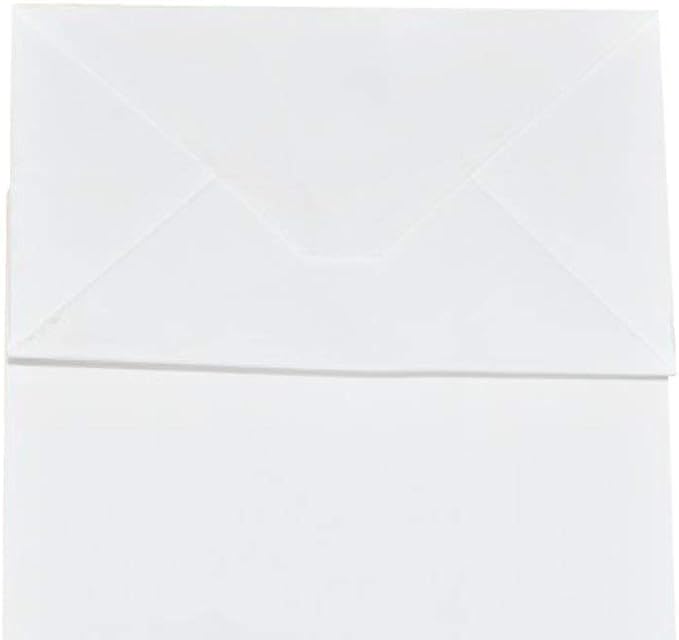 bagmad 50 Pack Sturdy Medium White Gift Paper Bags with Handles Bulk, Kraft Bags 8x4.75x10 Inch, Craft Grocery Shopping Retail Party Favors Wedding Business Sacks (White, 50pcs)
