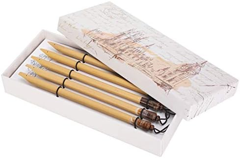 Pens, 5PCS Calligraphy Dip Pen, Vintage Handcrafted Manga Calligraphy Pens for Writing Drawing Painting (Bamboo Tip Set)