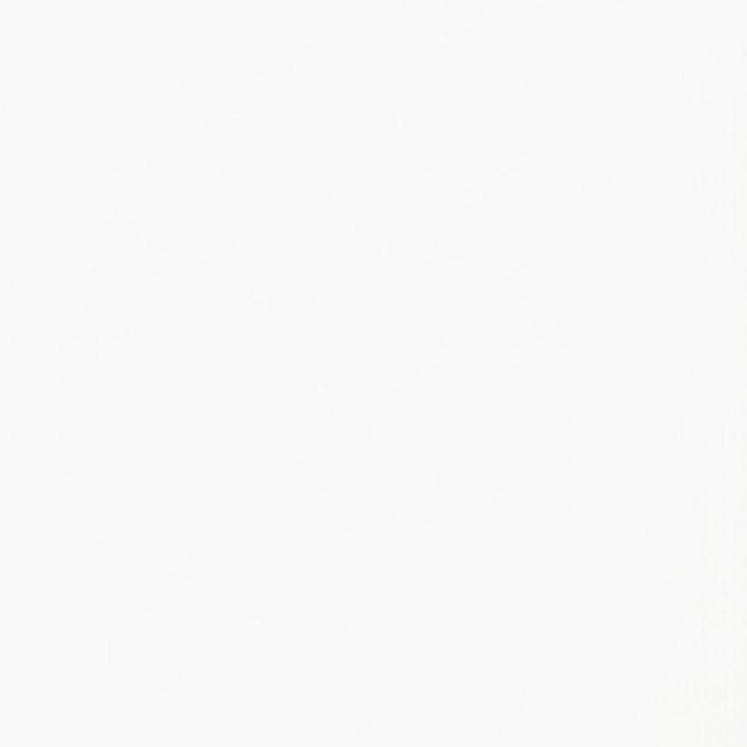 Liquitex BASICS Acrylic Paint, 400ml (13.5-oz) Bottle, Titanium White