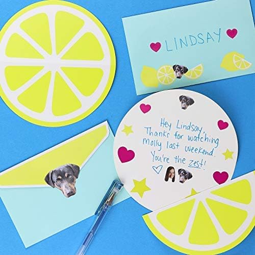Elite Custom Face & Pet Stickers - Sampler Sheet Gift