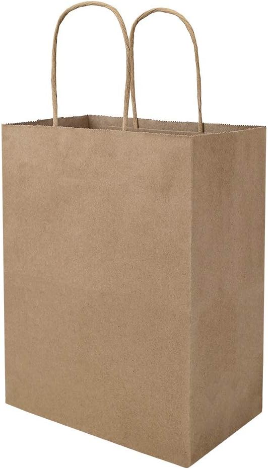 bagmad 50 Pack 8x4.75x10 Inch Plain Medium Paper Bags with Handles Bulk, Brown Kraft Craft Gift Bags, Grocery Shopping Retail Birthday Party Favors Wedding Sacks (Natural 50pcs)