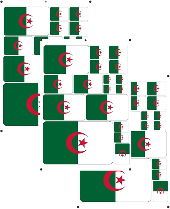 vmcoatdu Algeria Flag Laser Printing Sticker 3 Pcs Decal in Multiple Sizes Stickers (White Algeria)