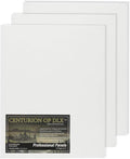 Centurion Deluxe Professional Oil Primed Linen Canvas Panels - 12x16-3 Pack of Linen Canvases for Painting, Artwork and More