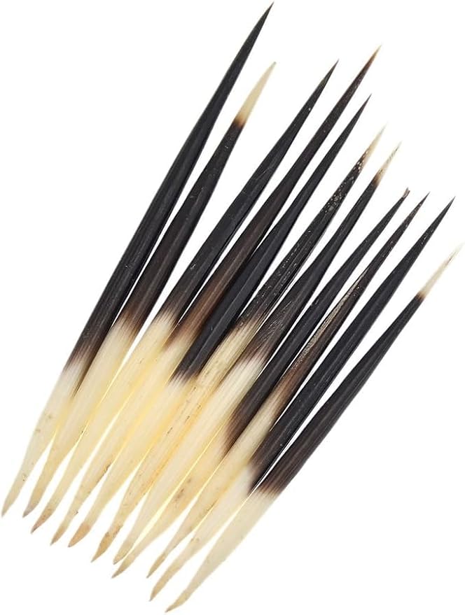Jinshining 10Pcs Porcupine Quills Hair Stick Indian Crafts Accessories Fishing Buoy DIY Sewing Project Kits Arts