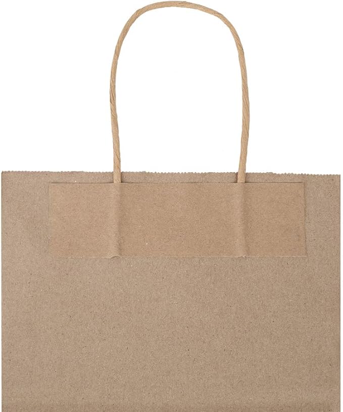 bagmad 50 Pack 8x4.75x10 Inch Plain Medium Paper Bags with Handles Bulk, Brown Kraft Craft Gift Bags, Grocery Shopping Retail Birthday Party Favors Wedding Sacks (Natural 50pcs)