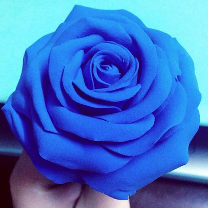BOHS Blue Modeling Foam Clay - 1.1 Lbs, Squishy,Soft, Air Dry -for Flower Mirror,Cosplay,Fake Bake, Slime Supplies-500g