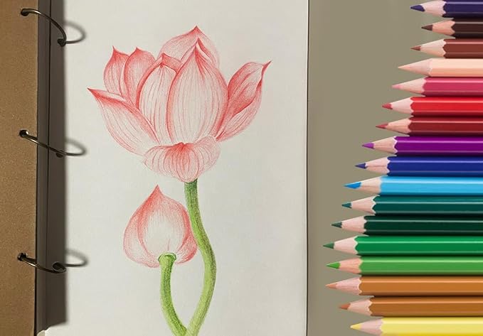 SKKSTATIONERY 50Pcs Colored Pencils,50 Vibrant Colors, Drawing Pencils for Sketch, Arts, Coloring Books, Back to school Christmas Gifts