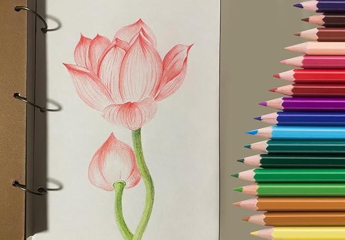 SKKSTATIONERY 50Pcs Colored Pencils, Packing in Tin, 50 Vibrant Colors, Drawing Pencils for Back to school, Sketch, Arts, Coloring Books Christmas Gifts