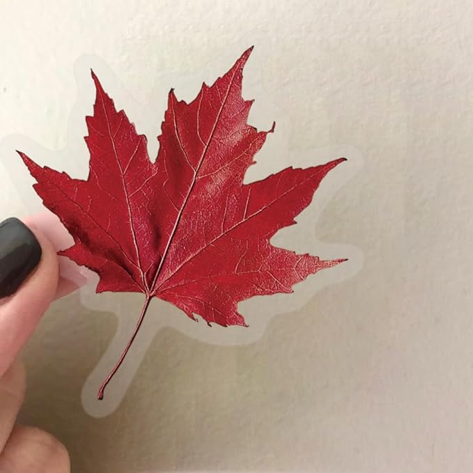 50Pcs Leaf and Flower Specimens Stickers, Vintage Aesthetic Plant Stickers Packs for Journal, Scrapbooking, Photo Album, Laptop, Kindle, Refrigerators, Suitcase, Waterproof PET Transparent Decals