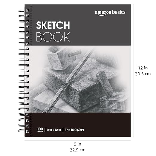 Amazon Basics Sketch Pad for Artists, 67 lb. / 100 gsm, 100 Sheets, 9"x12", White
