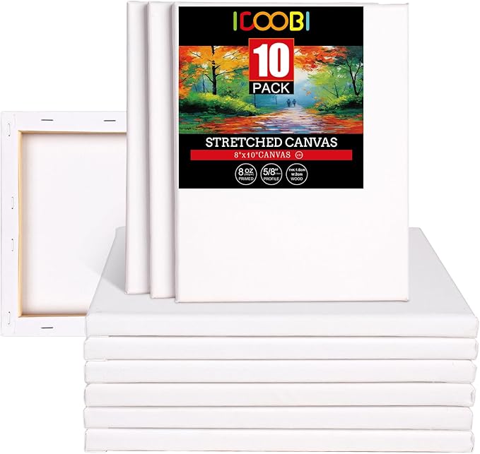 10 Pack 8x10 Stretched Canvases for Painting 100% Cotton White Painting Canvas, Art Canvases for Oil, Acrylic Paint & Other Painting Media