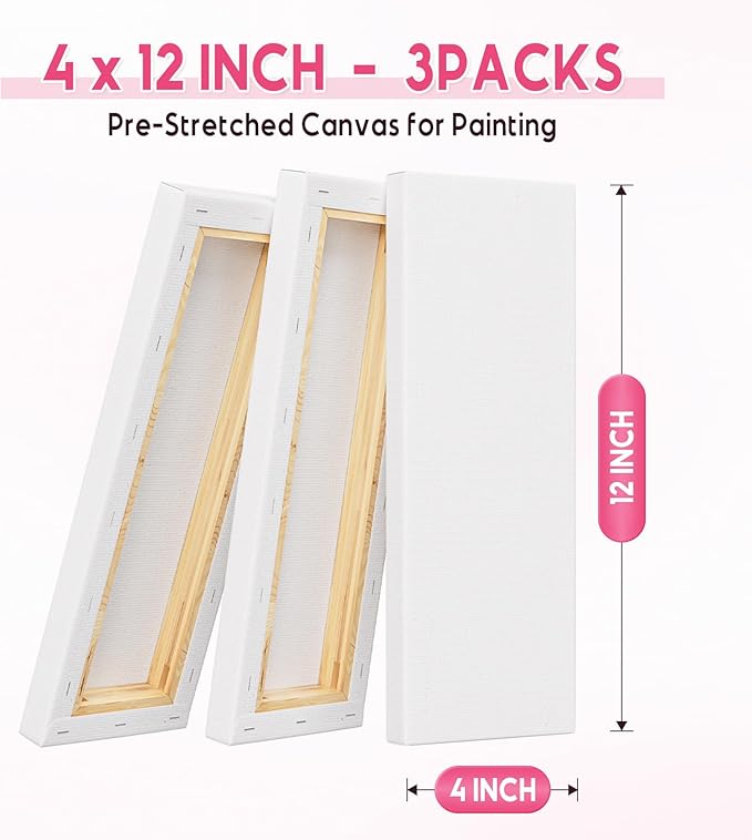 Art Supplies Stretched Canvas for Painting 4×12 Inch，3 Pack Primed Acid Free Cotton Canvases Thickened Blank Canvas Panels for Painting, Acrylic Pouring, Oil Paint