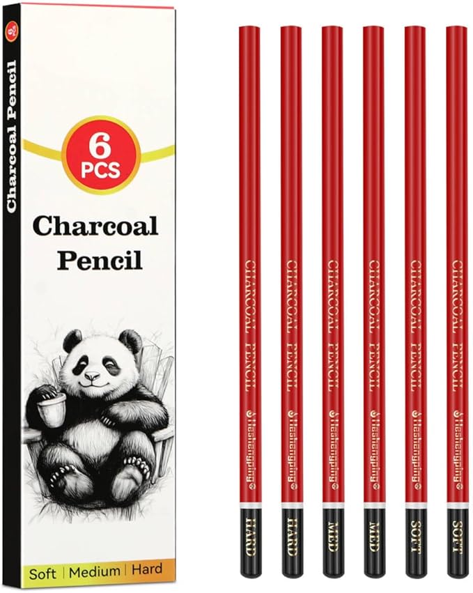 Professional Charcoal Pencils for drawing, Set of 6, Black Charcoal Drawing Pencils (Soft, Medium, Hard), Art Supplies for Drawing Sketching, Shading