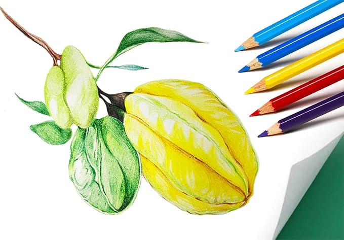 SKKSTATIONERY 50Pcs Colored Pencils, Packing in Tin, 50 Vibrant Colors, Drawing Pencils for Back to school, Sketch, Arts, Coloring Books Christmas Gifts