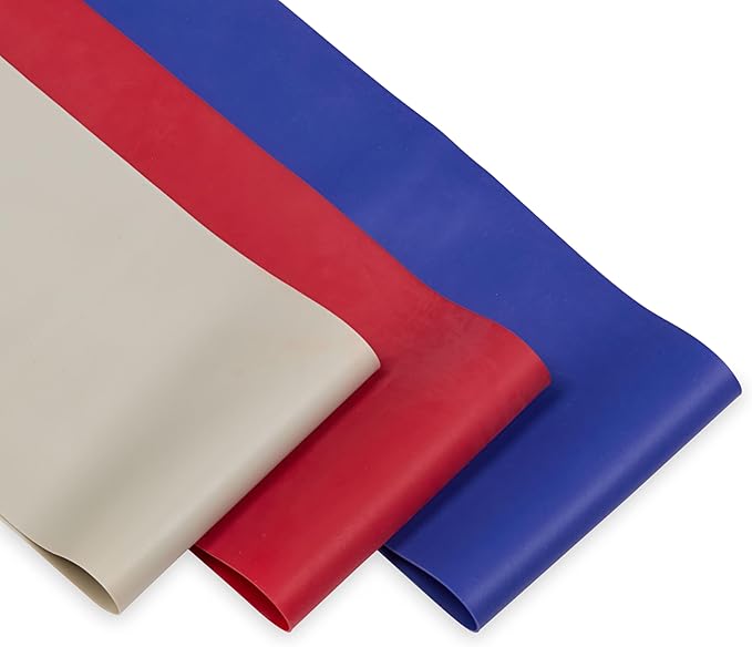 Champion Loop Resistance Bands (3-Pack, Grey/Red/Blue), Light/Medium/Heavy, Odor-Free, 4" Rubber + Latex Exercise Bands, for Strength Training and Physical Therapy, Includes Exercise Guide