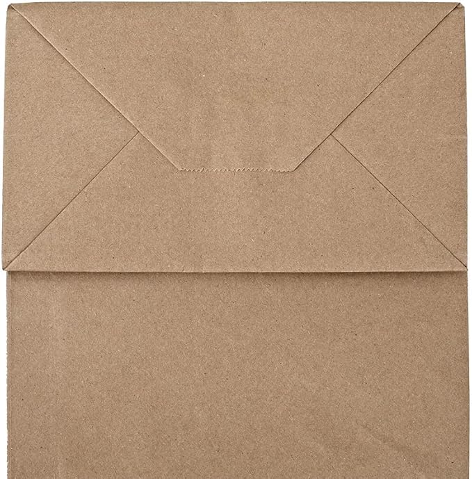 bagmad 50 Pack 8x4.75x10 Inch Plain Medium Paper Bags with Handles Bulk, Brown Kraft Craft Gift Bags, Grocery Shopping Retail Birthday Party Favors Wedding Sacks (Natural 50pcs)