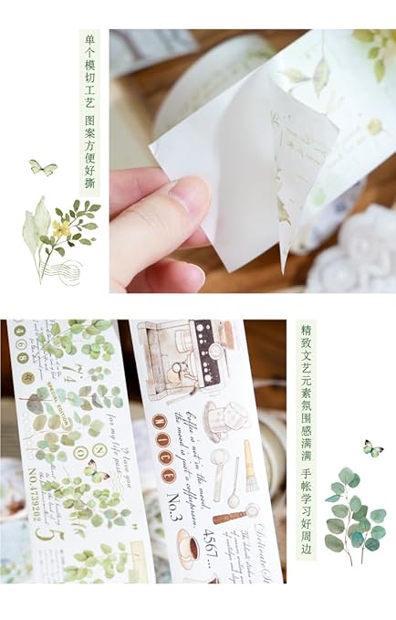 Alideco 6pcs Decorative Adhesive Tapes Fresh Literary Girl Botanical Flower Landscape PET Tape Great for Bullet Journal Supplies, Arts, Scrapbook, DIY Crafts, Planners (wujinglianxia)