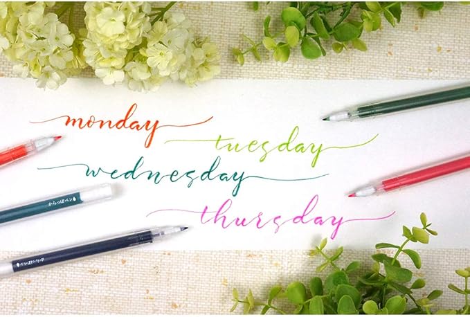 Kuretake Karappo Pen, Fine Brush tip 5pcs set, Empty refillable ink pen, for lettering, calligraphy, illustration, drawing, Made in Japan