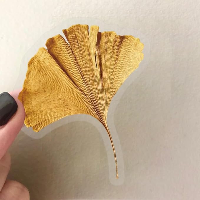 50Pcs Leaf and Flower Specimens Stickers, Vintage Aesthetic Plant Stickers Packs for Journal, Scrapbooking, Photo Album, Laptop, Kindle, Refrigerators, Suitcase, Waterproof PET Transparent Decals