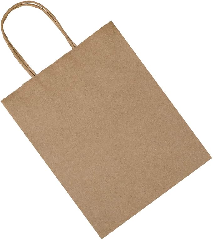 bagmad 50 Pack 8x4.75x10 Inch Plain Medium Paper Bags with Handles Bulk, Brown Kraft Craft Gift Bags, Grocery Shopping Retail Birthday Party Favors Wedding Sacks (Natural 50pcs)
