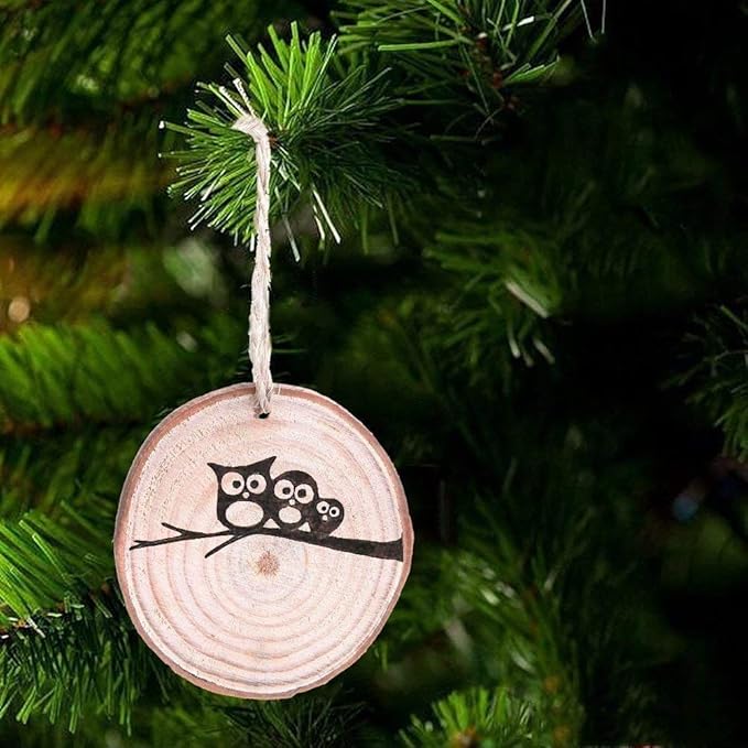 Unfinished Natural Wood Slices 25 Pcs 3.1-3.5 inch Wood Coaster Pieces Craft Wood kit Predrilled with Hole Wooden Circles Great for Arts and Crafts Christmas Ornaments DIY Crafts Rustic Wedding