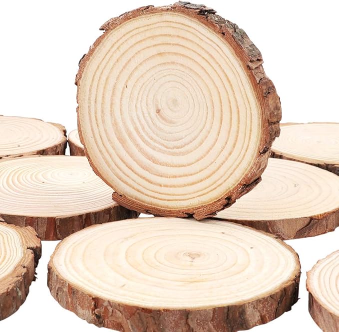 Unfinished Natural Wood Slices with Bark 20 Pcs 3.5-4 inch Craft Wood kit Circles Crafts Christmas Ornaments Rustic Wedding Decoration DIY Crafts for Crafts