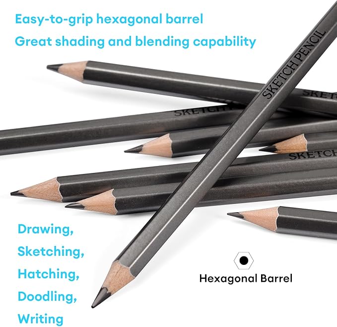 Dyvicl Professional Drawing Sketching Pencil Set - 12 Pieces Drawing Pencils 10B, 8B, 6B, 5B, 4B, 3B, 2B, B, HB, 2H, 4H, 6H Graphite Pencils for Kids, Beginners, Pro Artists