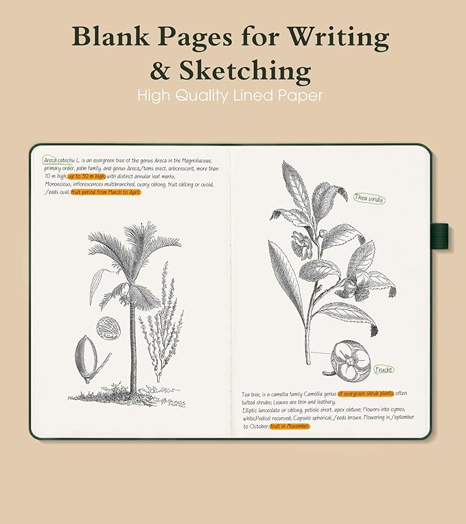 Blank Journal Notebook for Women Men,160 Pages,A5 Hardcover Sketchbook for Drawing, Sketch book, Unlined Notebooks for School,Work, Note Taking,Travel Journals for Writing 5.8"x8.5" (Green)