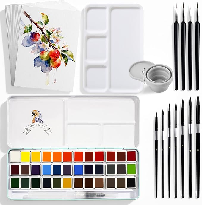 36 Color Solid Watercolor Paint Set with Watercolor Tool Kit (20 watercolor paper, 11 brushes, 1 collapsible water cup and 1 palette) for Beginners, Students & Outdoor Painting