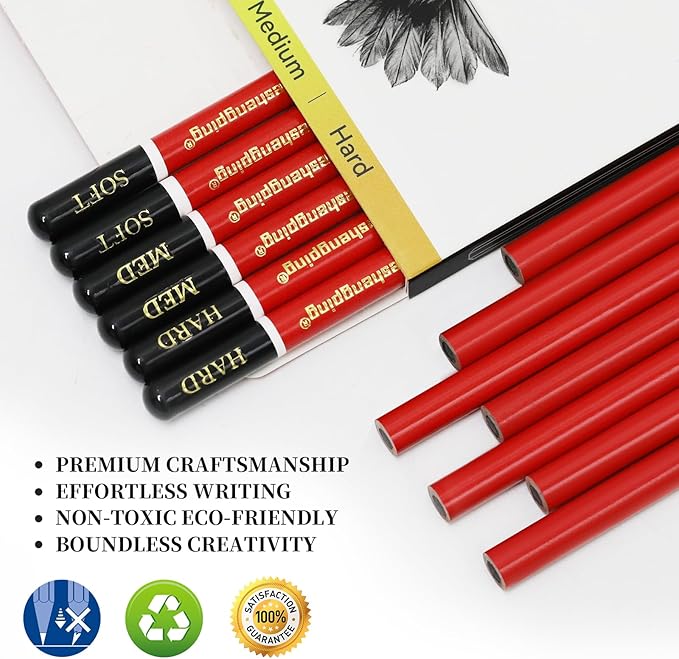 Heshengping Professional Charcoal Pencils Drawing Set -12 Pieces Soft, Medium Hard Charcoal Pencils for Drawing Sketching Shading Artist Pencils for Beginners Artists