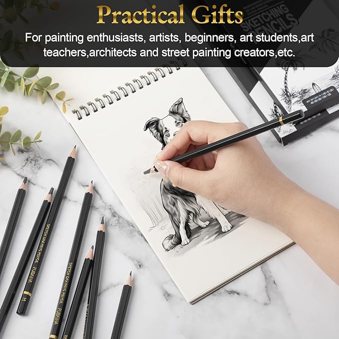 216 Pcs Drawing Sketching Pencil Set Professional (12b - 4h) Graphite Charcoal Gift Bulk for Artists Beginners, Pro Artists, Drawing Art, Sketching