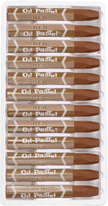 PATIKIL Dark Brown Oil Pastels, 36Pcs Soft Oil Crayons Pastels Stick Vibrant and Creamy Art Supplies Bulk for Artists Beginners Art Painting Drawing Blending Graffiti Gallery
