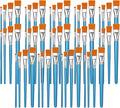 60 Pcs Paint Brush Set Bulk Acrylic Brush Wood Paint for Detail Art Crafts Kids Artist Adult Watercolor Oil Face Body(1, 0.75, 0.5, 0.25 Inch,Flat Style)
