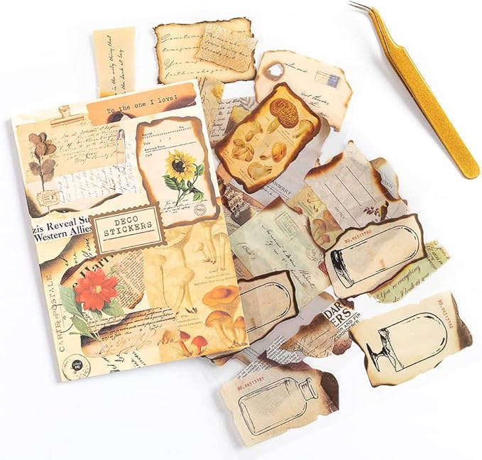 Alideco Vintage Scrapbook Stickers Set Retro People Flowers Sticker Book for Adults Sticker journaling Stickers for Scrapbooking Tweezer 20Sheets/160Pcs (ranshaodeshi)