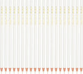 PATIKIL White Colored Pencils Set,20 Pcs Oil Color Pencils Wooden Coloring Drawing Pencil for Artists Art Painting