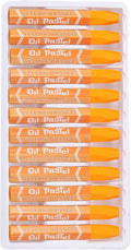 PATIKIL Amber Oil Pastels, 12Pcs Soft Oil Crayons Vibrant and Creamy Pastels Stick Art Supplies for Art Painting Drawing Blending Graffiti for Artists Beginners
