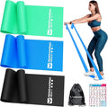 Resistance Bands for Working Out, Exercise Bands for Physical Therapy, Stretch, Recovery, Pilates, Rehab, Strength Training and Yoga Starter Set