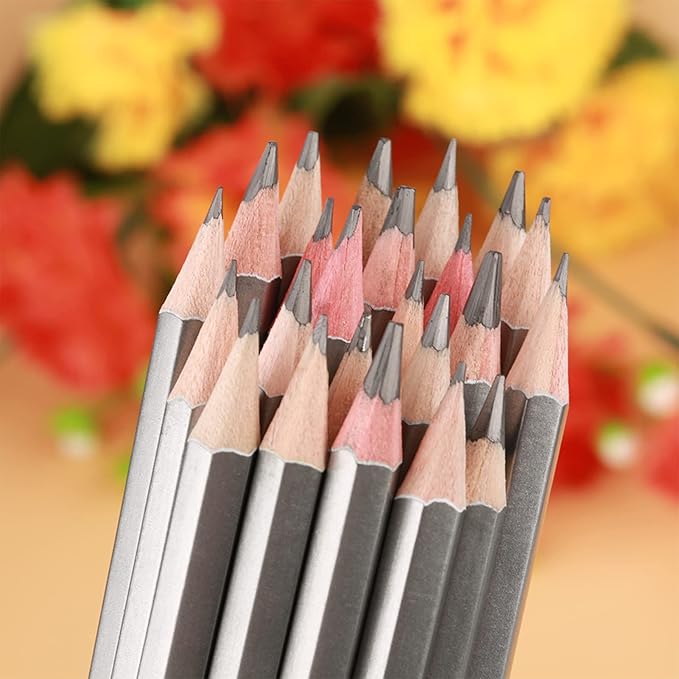 24Pcs Drawing Sketching Pencils Set, Graphite Pencils(14B - 9H), Art Pencils for Sketching, Shading, Artist Pencils for Beginners & Pro Artists