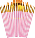 Paint Brushes Set, 20 Pcs Paint Brushes for Acrylic Painting, Oil Watercolor Acrylic Paint Brush, Artist Paintbrushes for Body Face Rock Canvas, Adult Drawing Arts Crafts Supplies, Blush