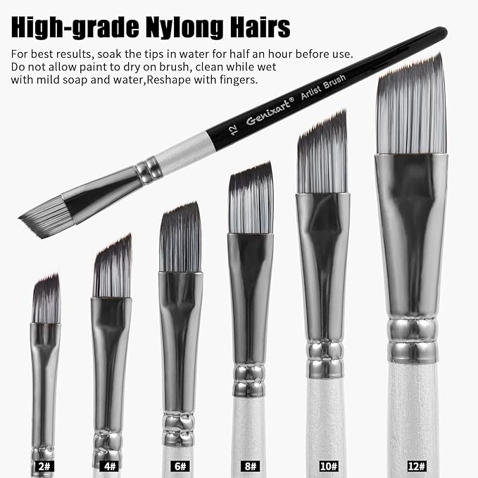 Angular Paint Brushes Set, 6 Pcs Angled Paintbrushes for Acrylic Oil Watercolor Gouache Painting, Premium Nylon Hair Angle Shader Brush for Art Beginners and Artist Professionals