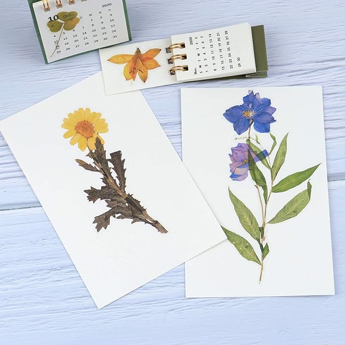 160pcs Pre-Cut Scrapbooks Natural Stickers, Floral and Plant Sticker for DIY Craft, Planners, Journal, Notebook, Laptop, Cell Phone, Calendars, Wedding Scrapbooking