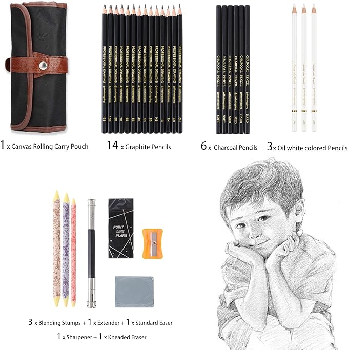 Heshengping 31 Drawing Sketching Pencils Kit, Portable Artist Supples Travel Case Set has Graphite, Charcoal, white color pencil, Blending Stump, gift for Adults Beginners for Drawing Sketch