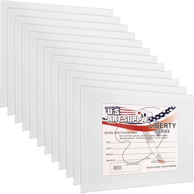 US Art Supply 9 X 12 inch Professional Artist Quality Acid Free Canvas Panels 12-Pack (1 Full Case of 12 Single Canvas Panels)