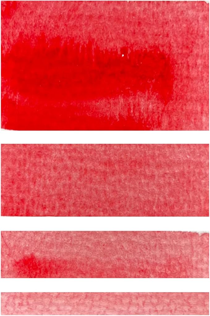 CSY art gallery Watercolor Paint (Primary)
