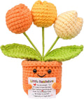 Positive Crochet Tulip Flower, Handmade Emotional Support Knitted Tulip Flowers - You are Enough - Birthday Xmas Positive Gift for Coworker Boss Her Him College Friend