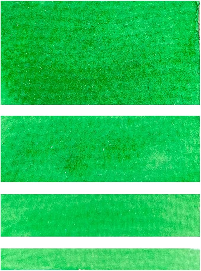 CSY art gallery Watercolor Paint (Primary)