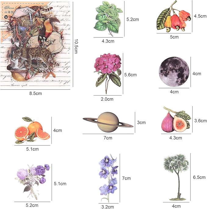Nature Themed Transparent Pre-Cut Stickers for Scrapbooking, Pack of 240, Flora and Fauna Vintage Aesthetic Decorative Decals for Journaling Photo Album Collage Card Making Crafts