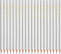 PATIKIL Silver Colored Pencils Set,20 Pcs Oil Color Pencils Wooden Coloring Drawing Pencil for Artists Art Painting