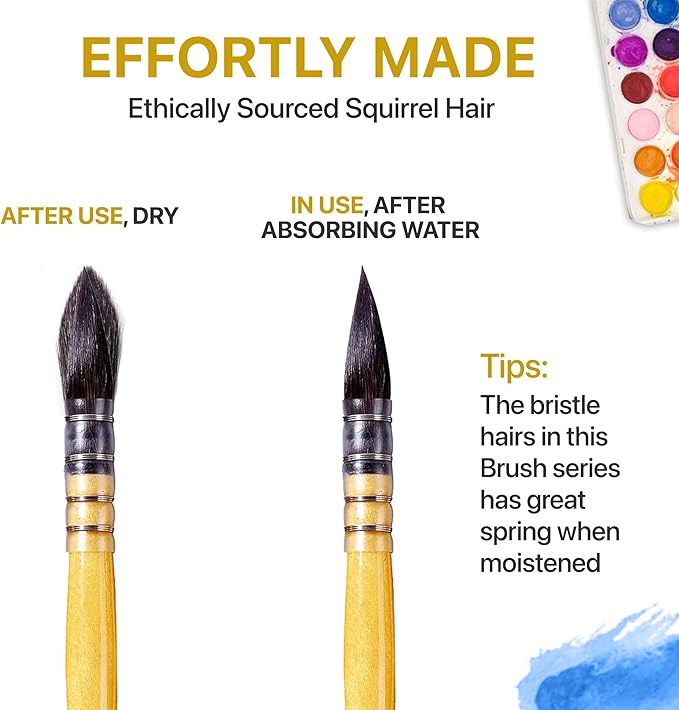 OOKU Professional Quill Brushes Watercolor Set - 6 Pc Real Squirrel Hair Blend Brushes for Consistent Flow - Short Handle Round Paint Brush for Artists, Painting, and Gouache